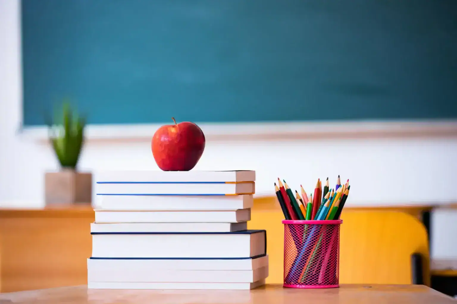 Christina Baisden Public Education