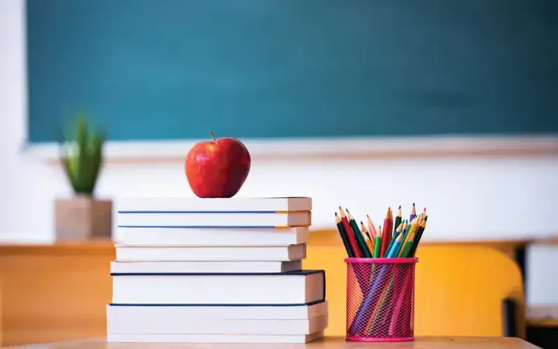 Christina Baisden Public Education